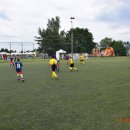 turt 26